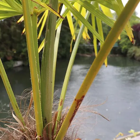 Hotel Le Risle - Montfort-sur-Risle